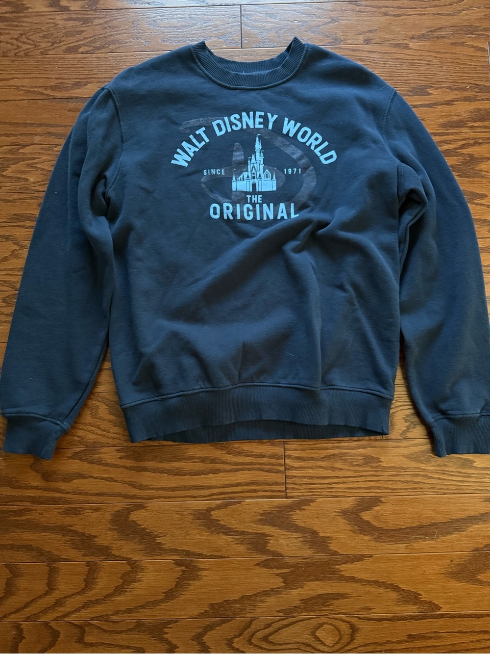 Disney Navy Crewneck Sweatshirt with Light Blue Castle Graphic